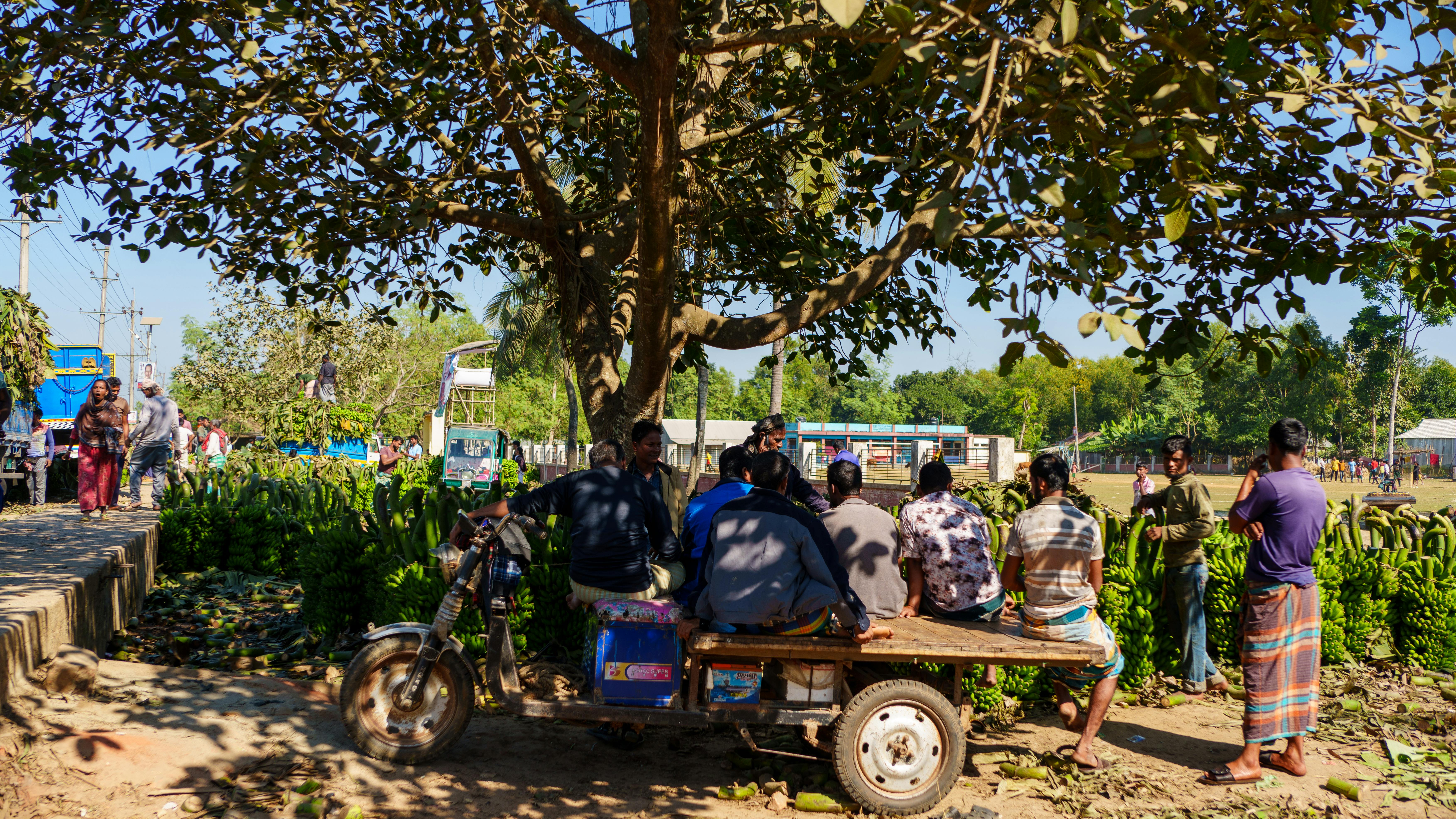 Training & Workshops