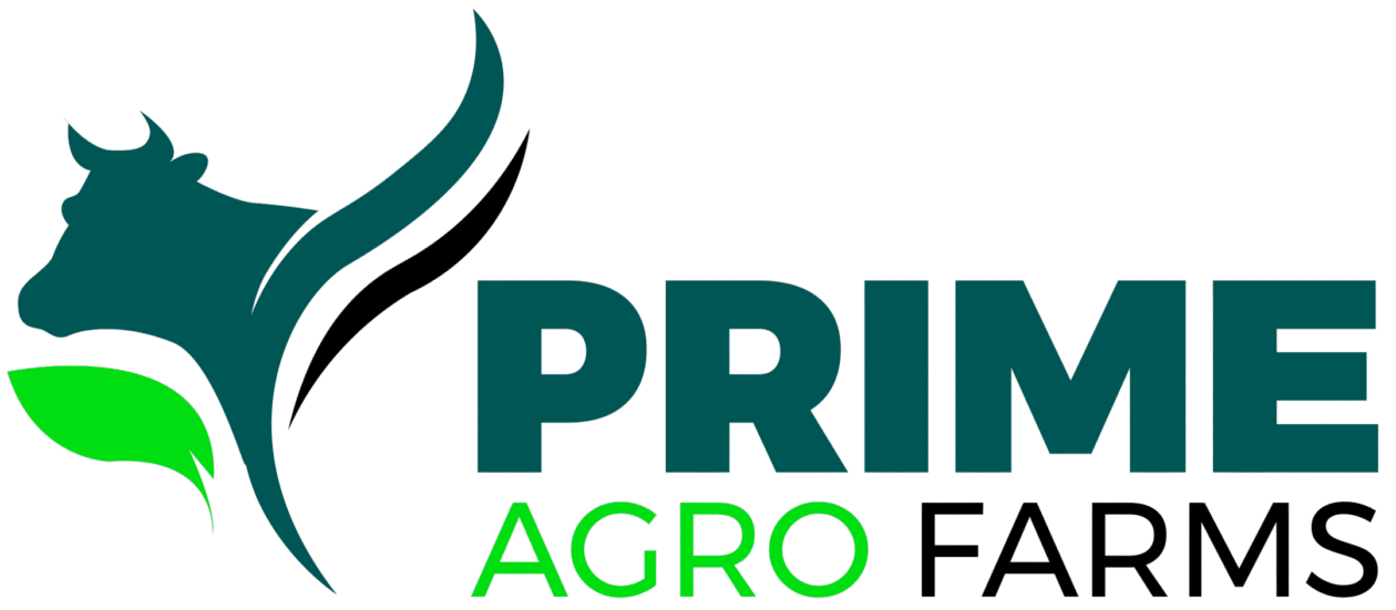 Prime Agro Farm Logo